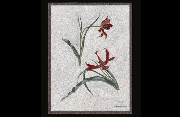 deferranti-micro-mosaics-flowers-of-jordan-tulip